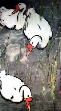 Arte Tradicional Chino Painting - Ganso Xu Beihong 2 China tradicional